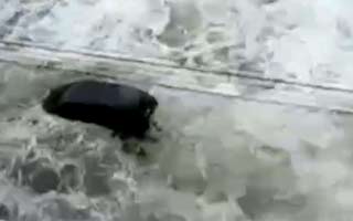 Vídeo mostra tsunami levando carro na costa (Reprodução)