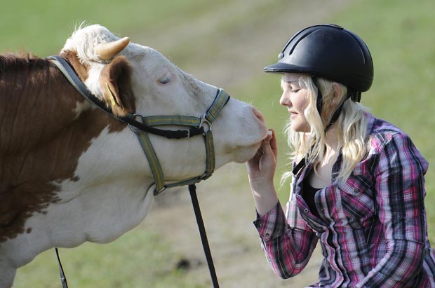 Regina Mayer contou que conseguiu ensinar a vaca após horas de treinamento. (Foto: Kerstin Jönsson/AP)