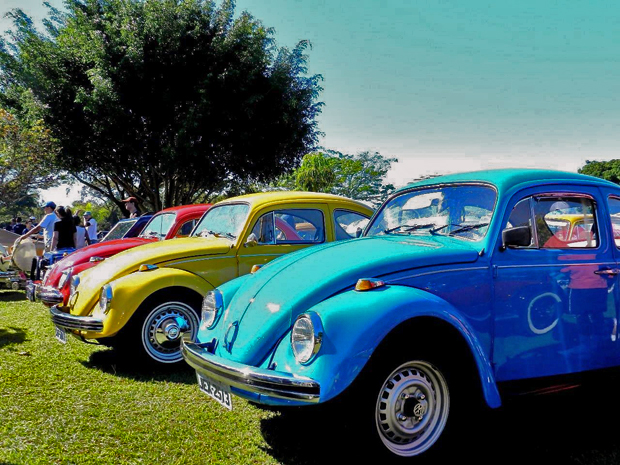 Veículos raros, como um exemplar de 1961, participaram de carreata neste domingo (19), em Brasília, em homenagem ao Dia Mundial do Fusca. (Foto: Marcelo Bressan / Divulgação)