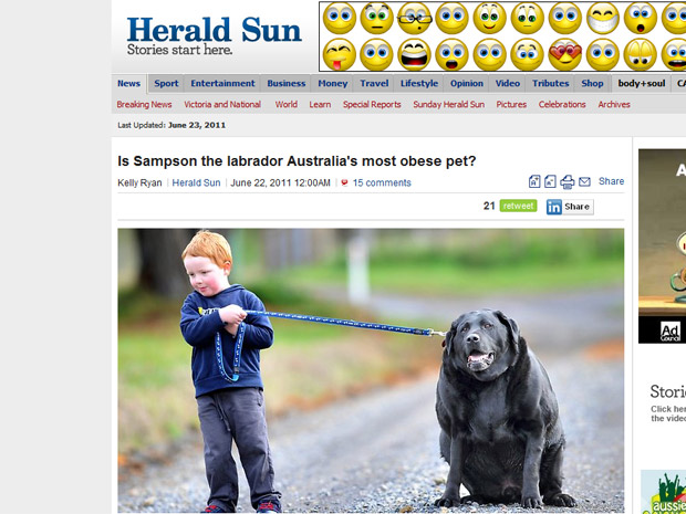 O cão australiano Samson em foto de jornal local (Foto: Reprodução)