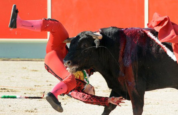 A toureira espanhola Conchi Rios é atingida por touro durante corrida na cidade francesa de Rieumes, neste domingo (26) (Foto: AFP)