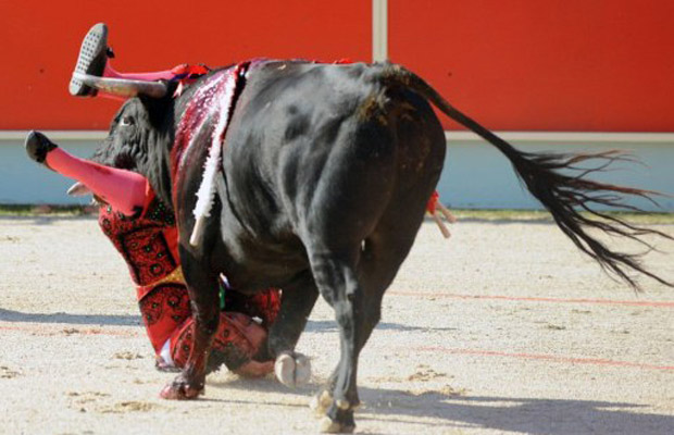 O touro era da casa de Pablo Mayoral e atingiu a toureira na perna direita (Foto: AFP)