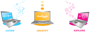 Audiggle é um outro aplicativo que auxilia na localização de informações sobre as músicas armazenadas no PC (Foto: Reprodução)