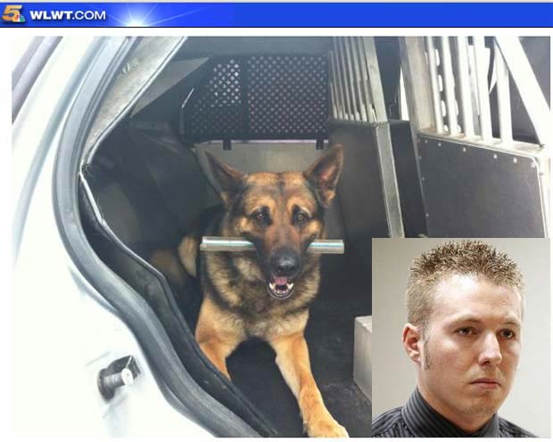 Ryan Stephens pode pegar 2 meses de cadeia por latir para cão. (Foto: Reprodução)