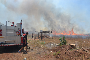 Área florestal é tomada por incêndio em Sousa, na Paraíba (Foto: Pereira Jr/G1)