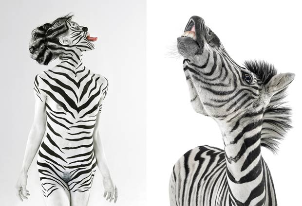 Modelo Jasmina repete pose de uma zebra. (Foto: Lennette Newell/Bacroft USA/Getty Images)