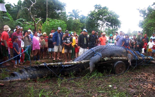 Captura do crocodilo gigante atraiu centenas de curiosos. (Foto: Reuters)