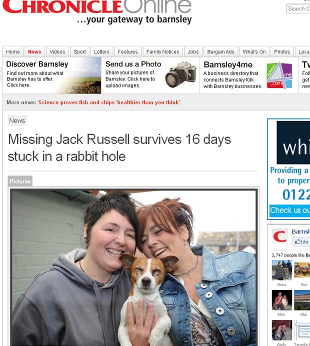 Cão da raça Jack Russell ficou 16 dias preso em uma toca de coelho. (Foto: Reprodução)