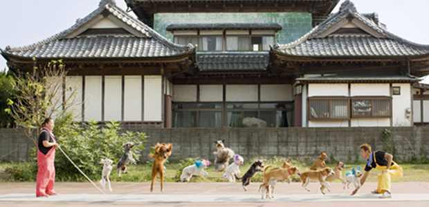 Cães pulando corda (Foto: Reprodução)
