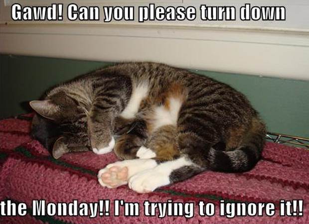 "Você pode desligar essa segunda-feira? Estou tentando ignorá-la", diz a legenda (Foto: Reprodução)