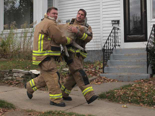 Logo após aplicar a respiração artificial, os bombeiros correram com Coda até um veículo para que ele fosse transportado a um veterinário (Foto: AP Photo/Dan Young/Wausau Daily Herald)
