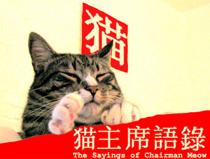 O gato Chairman Meow, que, como o 'quase xará' Mao Tse-tung, também tem preceitos filosóficos (Foto: Reprodução)