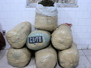 Polícia encontra 85 kg de maconha durante ronda em Serrinha (BA) (Foto: Clériston Silva/ Portal do Clériston Silva)
