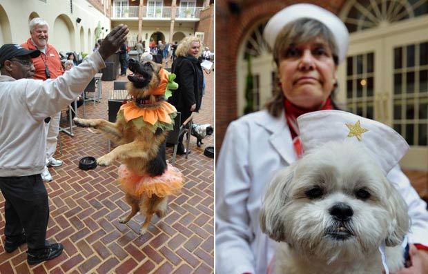 Á direita, Linda Greenway com sua cadela de estimação fantasiada de enfermeira. À esquerda, cadela ganhou fantasia de abóbora. (Foto: Mandel Ngan/AFP)