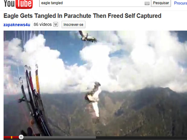 Águias voam na direção do paraglider de Vladimir Tsarkov (Foto: Reprodução de vídeo)