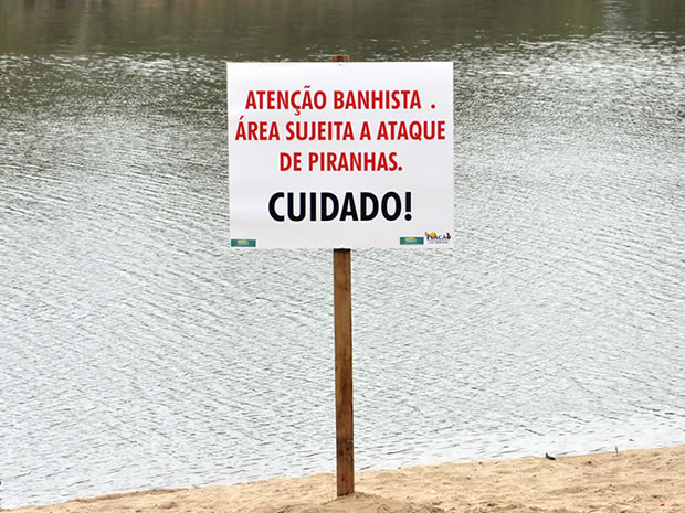 Piranha no Rio Paraguai (Foto: Kelly Martins/G1)