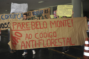 Estudantes protestam no Congresso contra projeto do Código Florestal (Foto: Antonio Cruz / Agência Brasil)