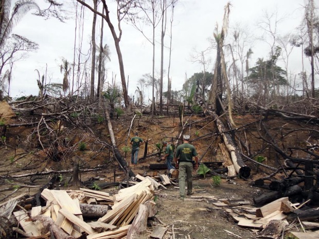 Desmatamento foi flagrado por agentes do Ibama durante operação (Foto: Assessoria/Ibama)