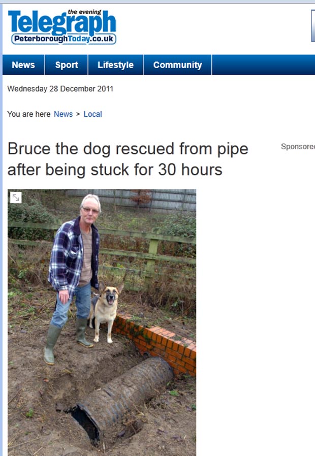 'Bruce' ficou preso no tubo depois de perseguir um coelho. (Foto: Reprodução)