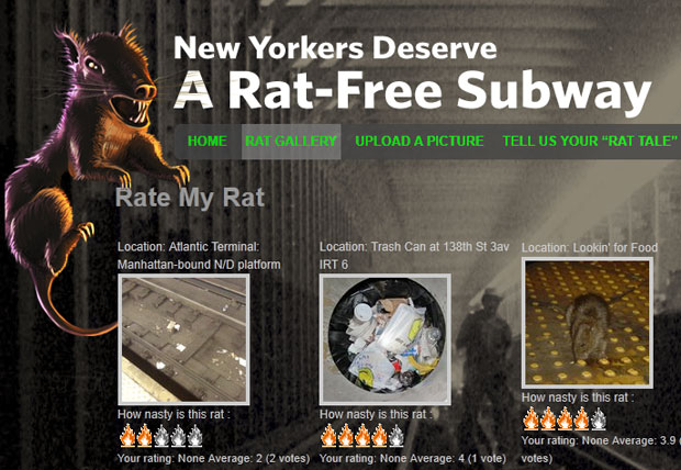 Concurso de fotos de ratos é feito em site de sindicato (Foto: Reprodução)
