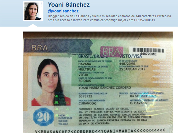 Imagem divulgada pela blogueira no Twitter mostra o visto concedido pelo Brasil (Foto: Reprodução)