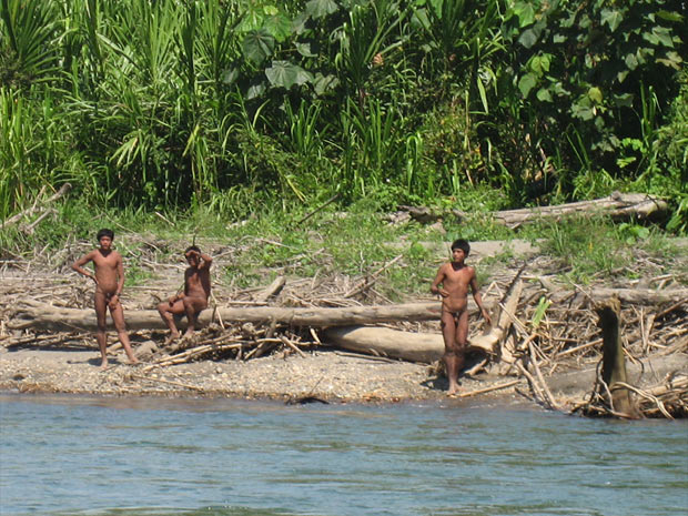 índios isolados na Amazônia peruana (Foto: Gabriella galli/Survival/Divulgação)