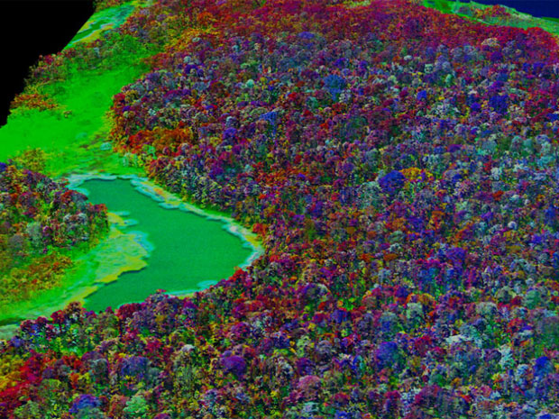 Imagem inédita faz mostra detalhes químicos da cobertura vegetal da Amazônia peruana  (Foto: Greg Asner, Carnegie Airborne Observatory)