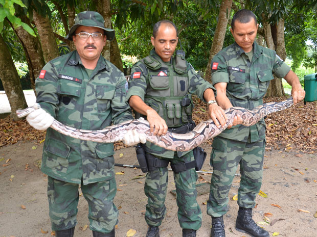 Cobra é capturada em residência em João Pessoa (Foto: Walter Paparazzo/ G1)