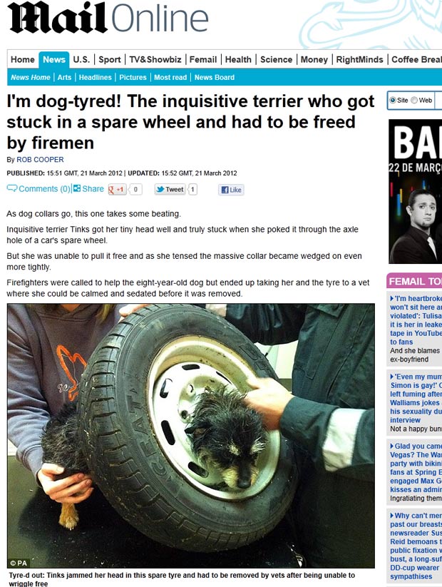 Cadela foi encontrada com a cabeça entalada em uma roda. (Foto: Reprodução/Daily Mail)