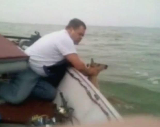 Em 2011, o norte-americano Dave Falkenburg disse ter capturado um veado durante uma pescaria em Michigan, nos EUA. Falkenburg e seu filho Justin, de 13 anos, estavam em um barco na costa de Saginaw, quando flagraram o animal na água. (Foto: Reprodução)