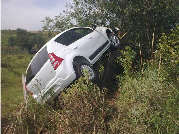 Carro foi parar em cima de uma árvore em Soledade (RS) (Foto: Divulgação/Heron Campos Alambrador)