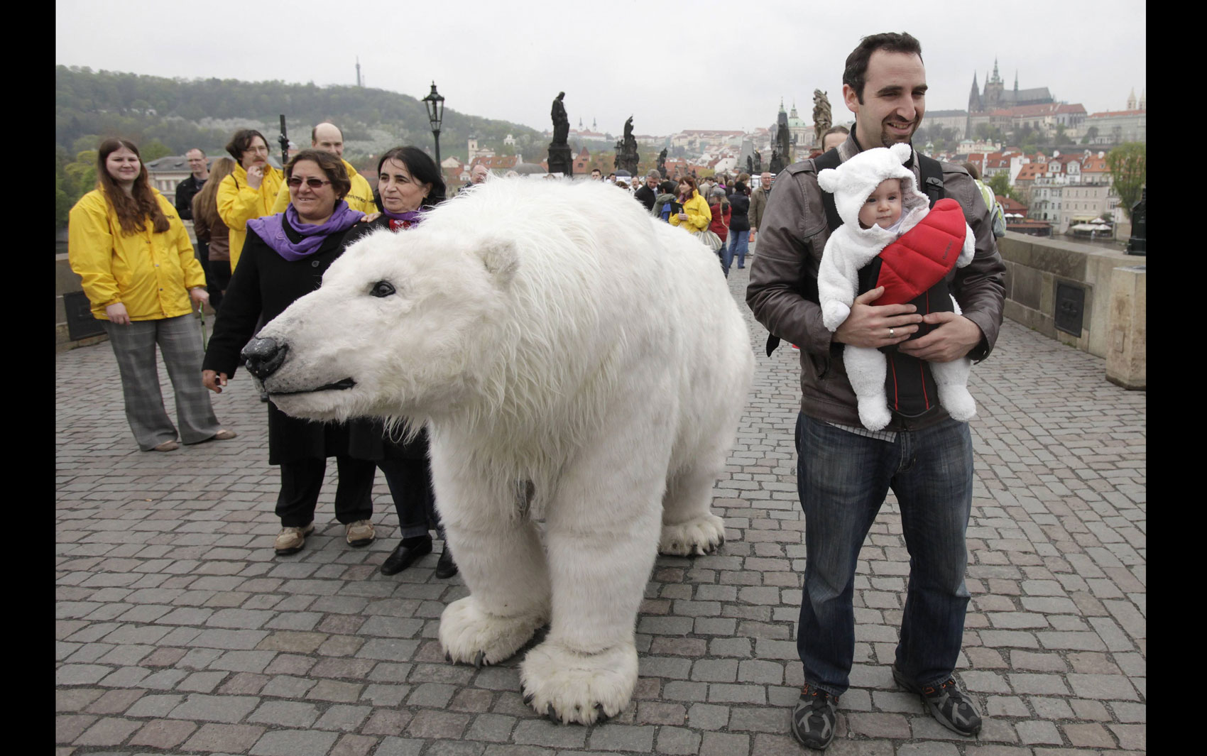 Ativistas do Greenpeace usam uma fantasia de urso polar em tamanho real e também usaram um bebê fantasiado como ursinho para em Praga, na República Tcheca. A campanha é para chamar a atenção para ameaças ambientais ao Ártico.