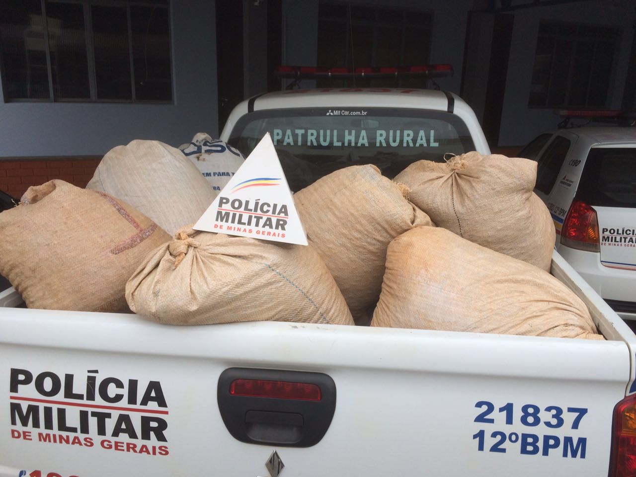 Sacas de café foram apreendidas e levadas à delegacia (Foto: Polícia Militar / Divulgação)