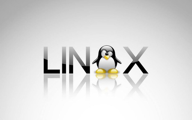 É possível instalar o Linux no Surface Book (Foto: Divulgação) 
